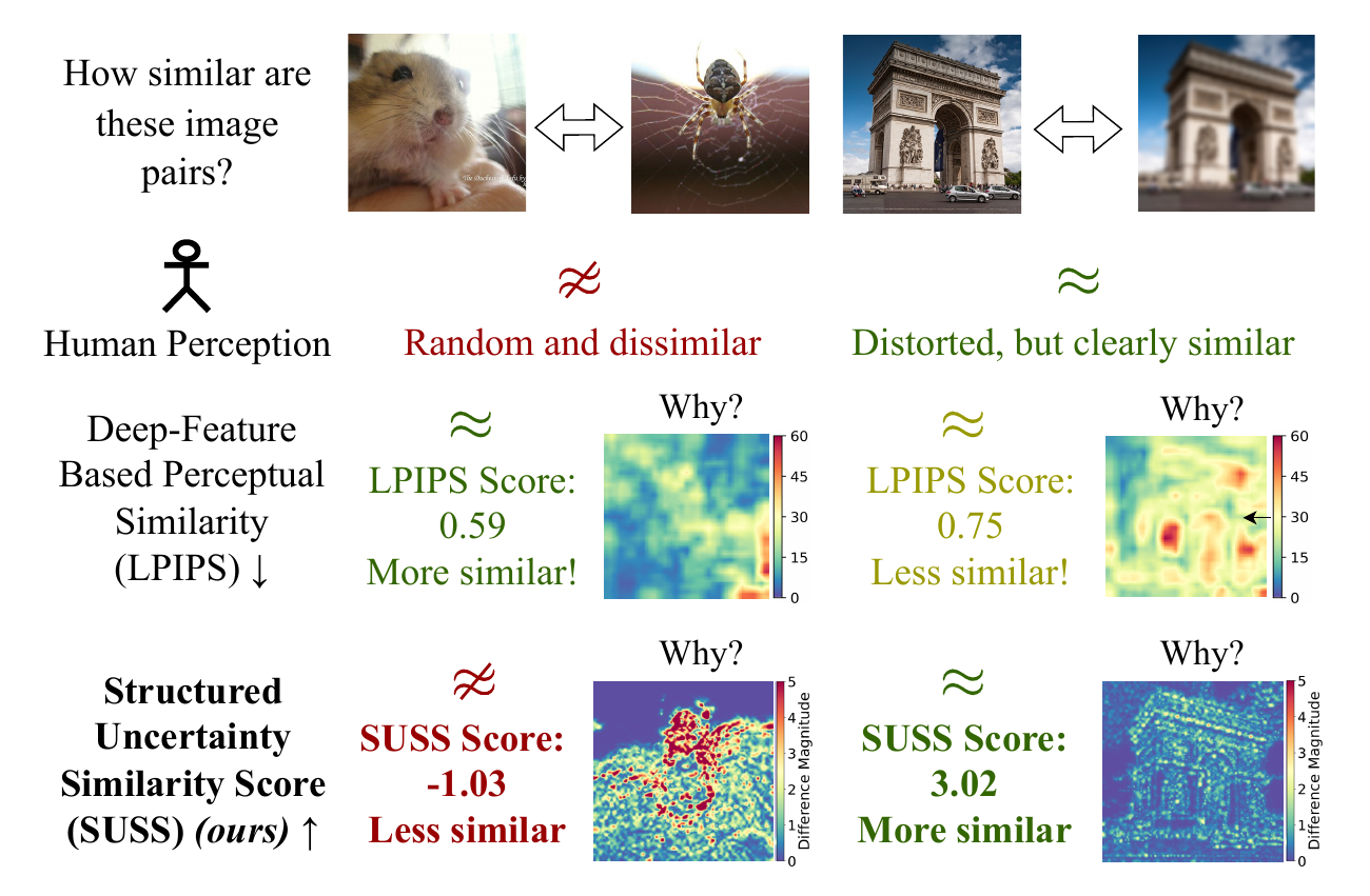 Structured Uncertainty Similarity Score SUSS : Learning a Probabilistic, Interpretable, Perceptual Metric Between Images